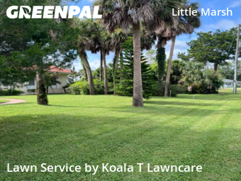Lawn Care Service nearby Jacksonville, FL, 