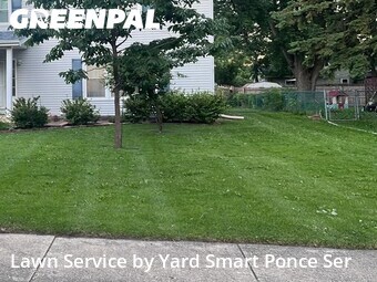 Lawn mowed in Lisle, 60532