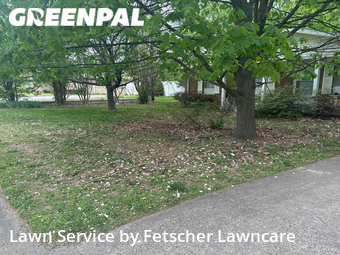 Lawn Mow nearby Evansville, IN, 