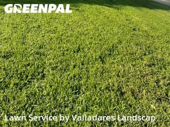 Lawn Cutting nearby Houston, TX, 