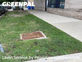 Lawn Mowing Service nearby Chicago, IL, 