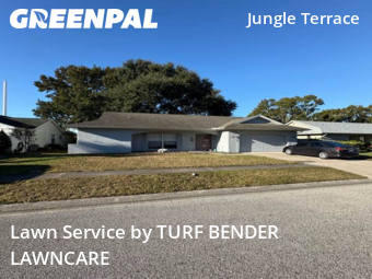 Lawn Cut nearby Hudson, FL, 