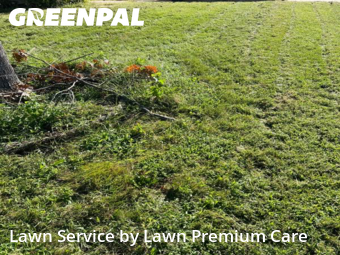 Lawn Care nearby Omaha, NE, 