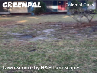 Lawn Services in Savannah, 31419, Lawn Cutting by H&H Landscapes, work completed in Dec , 2025