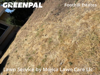 Work completed by local-landscaping-services-in-Citrus Heights-CA