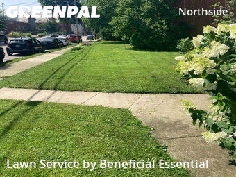 Lawn mowed in Cincinnati, 45223