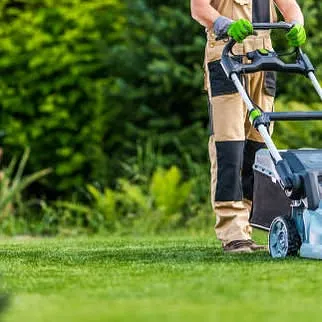 Arizona Lawn King Inc Photo 11