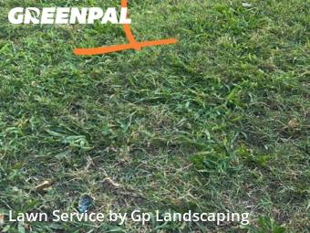 Grass Cutin Gastonia,28052,Yard Cutting by Gp Landscaping, work completed in Jan , 2026