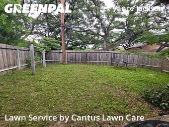 Grass Cutting nearby San Antonio, TX, 