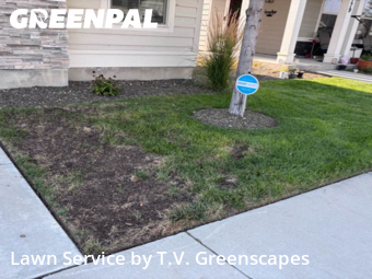 Lawn Cut nearby Meridian, ID, 