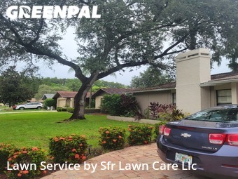 Yard Care in East Lake, 34685, Yard Mowing by Sfr Lawn Care Llc, work completed in Nov , 2025