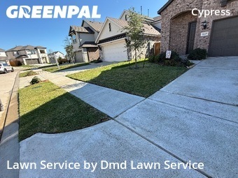 Yard Cuttingin Cypress,77433,Yard Mowing by Dmd Lawn Service, work completed in Dec , 2025