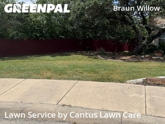 Landscaping Renovation In San Antonio,78250,Landscaping Maintenance by Cantus Lawn Care , work completed in Jul , 2026