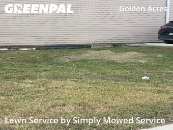 Yard Cuttingin Pasadena,77503,Lawn Service by Simply Mowed Service, work completed in Nov , 2025