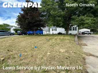 Grass Cut nearby Omaha, NE, 