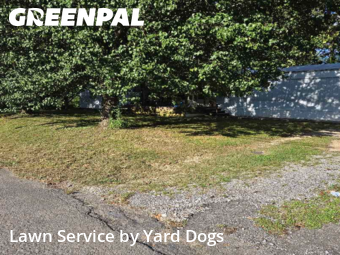 Grass Cutting nearby Rossville, TN, 