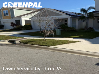 Grass Cuttingin Wesley Chapel,33545,Lawn Care by Three Vs , work completed in Jan , 2026