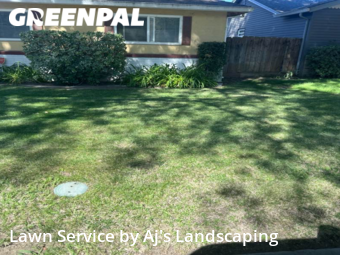 Grass Cut nearby Modesto, CA, 