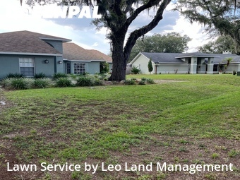Lawn Cut nearby Lakeland, FL, 