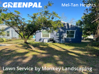 Grass Cutting nearby St. Petersburg, FL, 