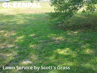 Lawn Care nearby Mount Vernon, AL, 