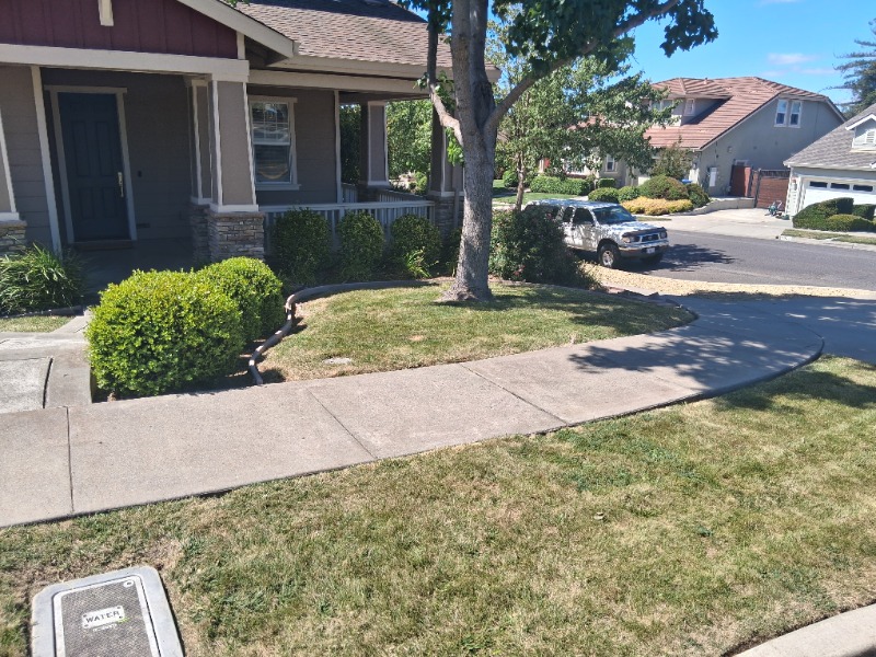 Lawn mowing work by Mychal's Residential in Davis, CA