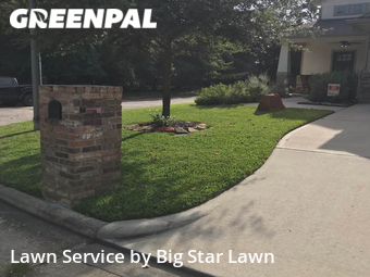 Lawn Cut nearby Montgomery, TX, 