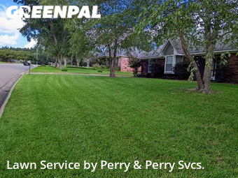 Grass Cutting nearby Madison, MS, 