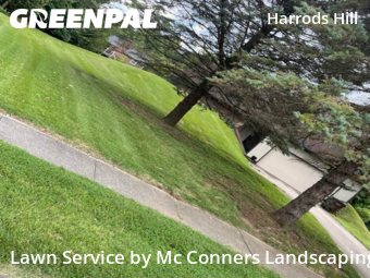 Lawn Cut nearby Lexington, KY, 