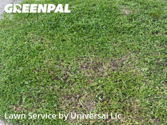 Grass Cut nearby Oakland Park, FL, 