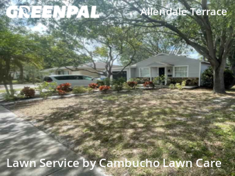 Lawn Mow nearby St. Petersburg, FL, 