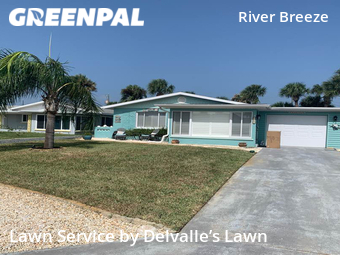 Grass Cut nearby Ormond Beach, FL, 