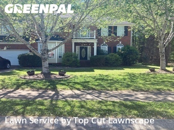 Yard Cutting nearby Matthews, NC, 