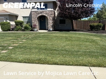 Grass Cut nearby Lincoln, CA, 