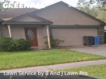 Lawn Mowing nearby Valrico, FL, 