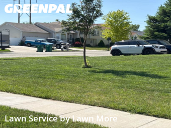 Lawn Services in Roy, 84067, Weed Trimming by Lawn More, work completed in Nov , 2025