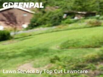 Lawn Mowing nearby Kingsport, TN, 37664