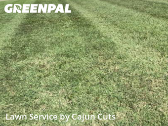 Lawn Service nearby Murfreesboro, TN, 