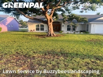 Lawn Cut nearby St. Petersburg, FL, 