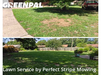 Lawn Care Service nearby Springfield, MO, 