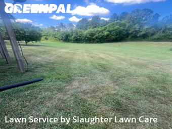 Yard Cutting nearby Powell, TN, 