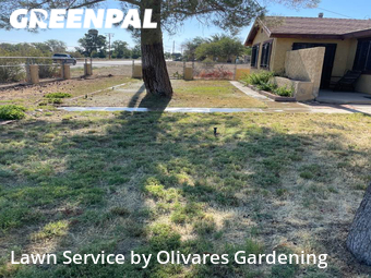 Yard Cutting nearby Littlerock, CA, 
