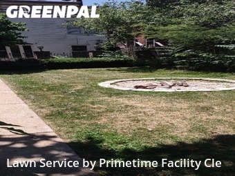 Yard Cutting nearby St. Louis, MO, 