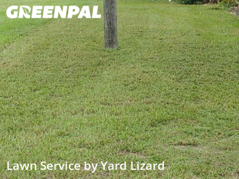 Yard Cutting nearby Ocala, FL, 