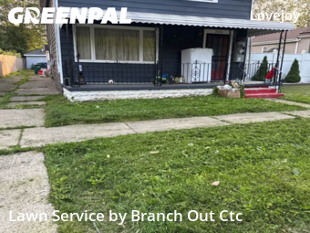 Lawn Mow nearby Buffalo, NY, 