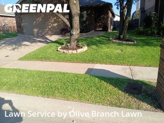 Lawn Cutting nearby Fort Worth, TX, 