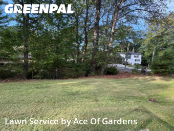 Grass Cutting in Chamblee, 30341, Mowing Services by Ace Of Gardens, work completed in Nov , 2025