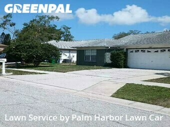 Lawn Cut nearby Palm Harbor, FL, 