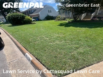 Lawn Mow in Chesapeake, 23320, Grass Cutting by Cuttasquad Lawn Care, work completed in 30 Jun, 2026 