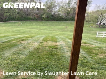 Lawn Mow nearby Powell, TN, 